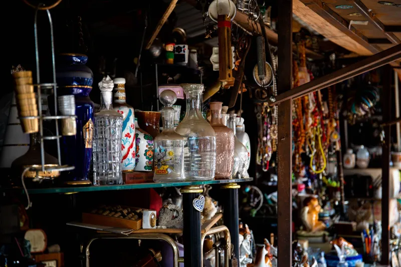 Nobody Asked, Nobody Cares, and That's Exactly the Point: The Glorious World of Niche Collecting